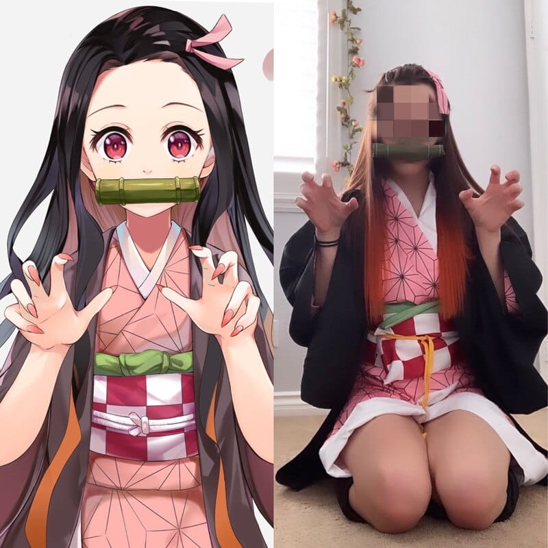 33613
